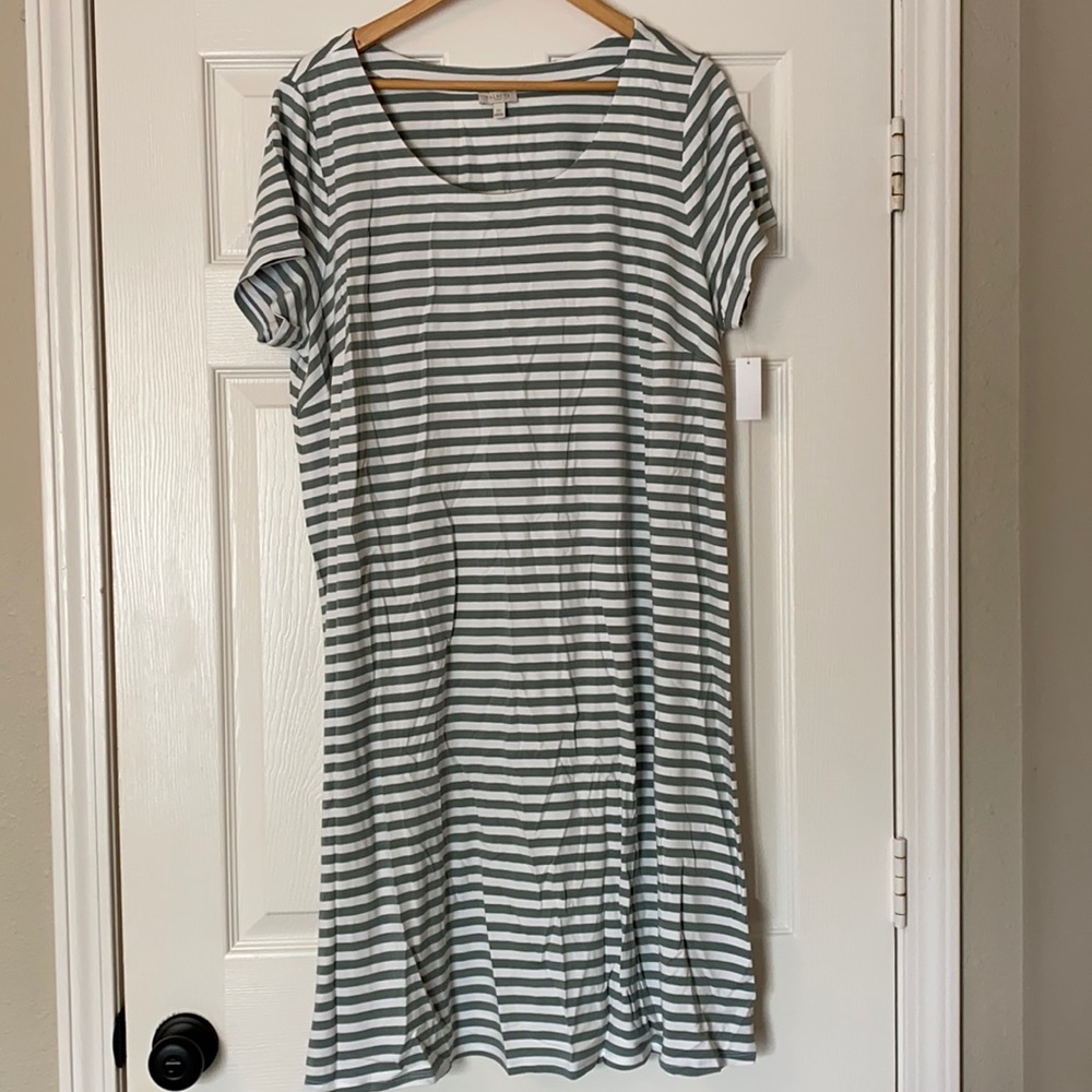 NWT Talbots Woman Green/White Stripe Dress